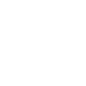 7 Roots