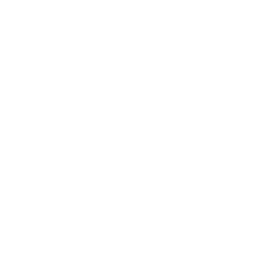 Apoema
