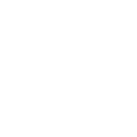 Kaizen Living