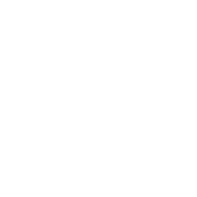 Pizza 39